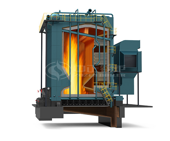 DHL Series Biomass Fired Steam Boiler