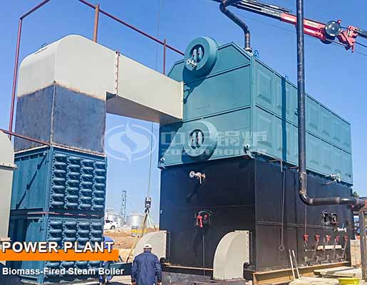 Turkey 10-Ton Biomass Boiler For Power Plant