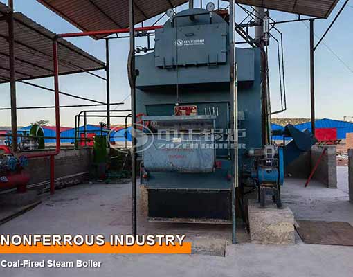 Zimbabwe 4 Ton Coal-Fired Steam Boiler Project