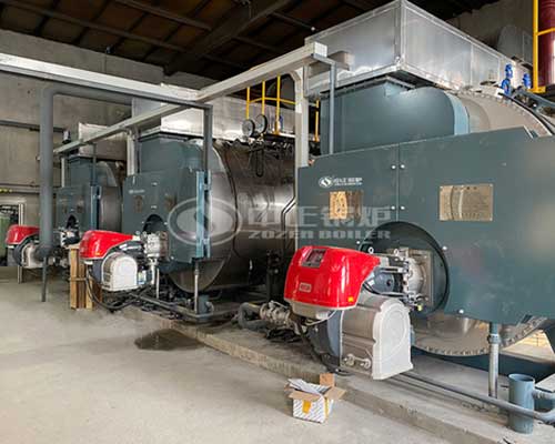 Gas Fired Steam Boilers For Sale