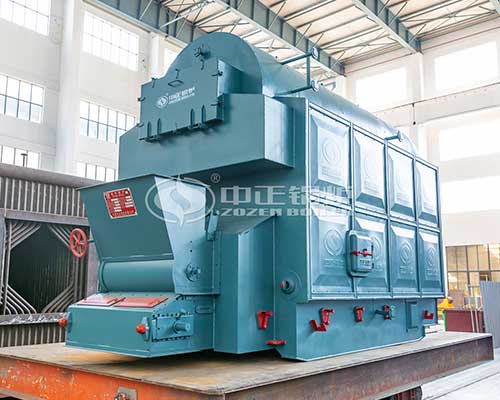 DZL 6ton Water Tube Biomass Rice Husk Boiler