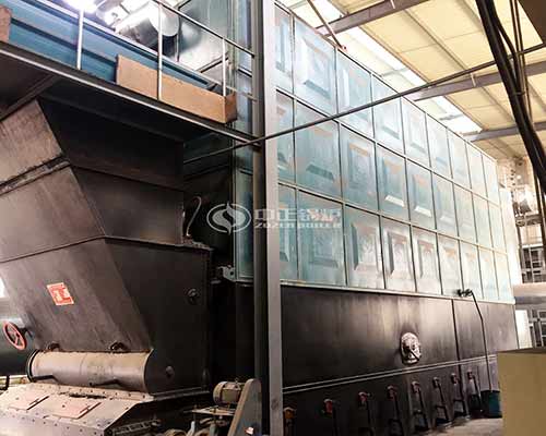 Biomass Wood Coal Fired Thermal Oil Boiler