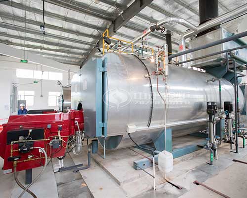 Industrial Steam Gas Boilers