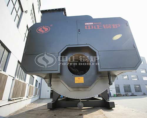 Natural Gas Light Oil Diesel Fuel Steam Boiler