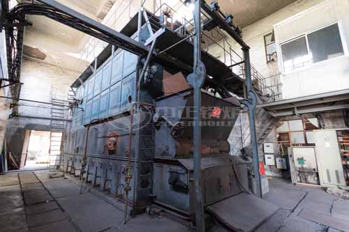 Industrial Boiler Coal Fired Steam 20 Ton Steam Output per Hour