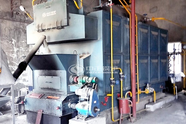 Horizontal Automatic DZL Type Biomass Fired Steam Boiler