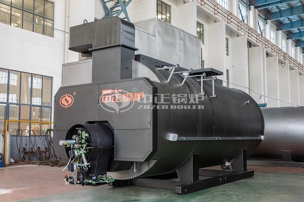 Condensing Gas Steam Boiler Supply