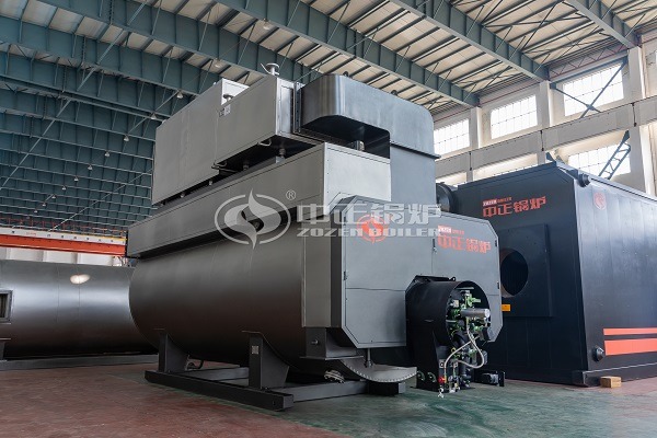 Condensing Gas Steam Boiler Supply