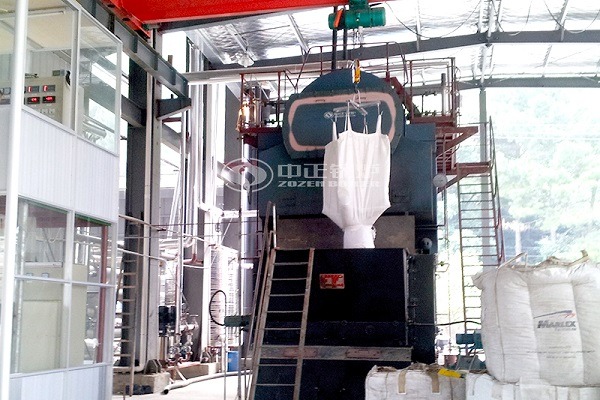 Horizontal Automatic DZL Type Biomass Fired Steam Boiler