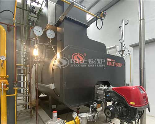 6tph WNS Series Condensing Gas Steam Boiler