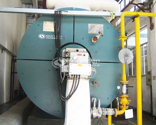 Lpg Diesel Gas Thermal Oil Boiler