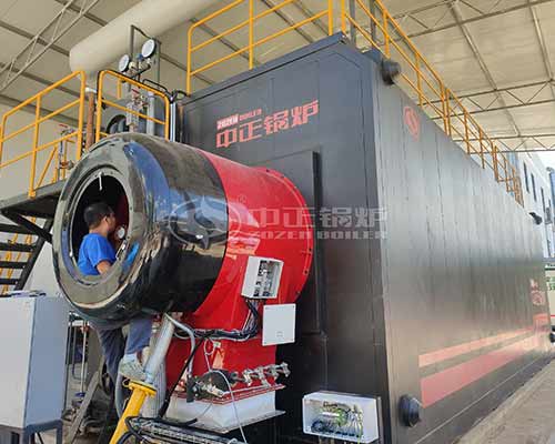 SZS Condensing Gas Steam Boiler for Heating Industry