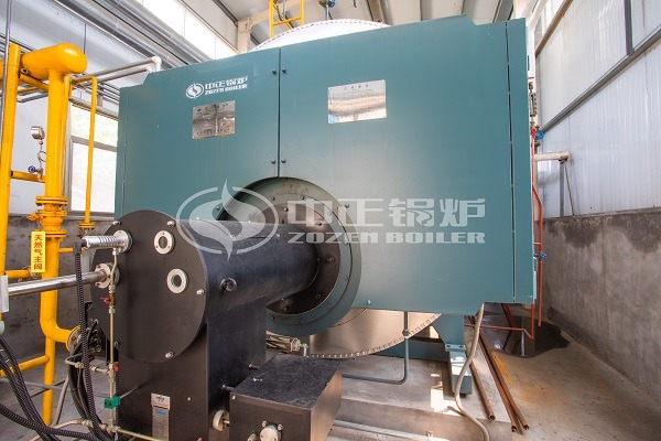 WNS Series Gas Fired Steam Boiler For Sale