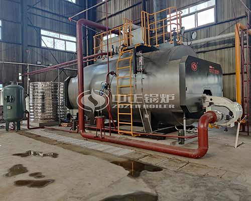 15t WNS Natural Gas Fired Steam Boiler in Mongolia