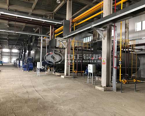 Oil fired hot water boiler sales