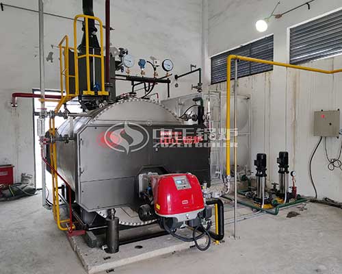 WNS series boiler produced