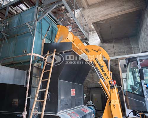 Biomass fired boiler