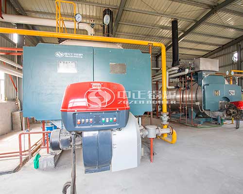 Natural gas fired boiler