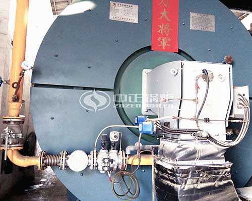 4 million kcal Gas Thermal Oil Heater for Water Purification Industry