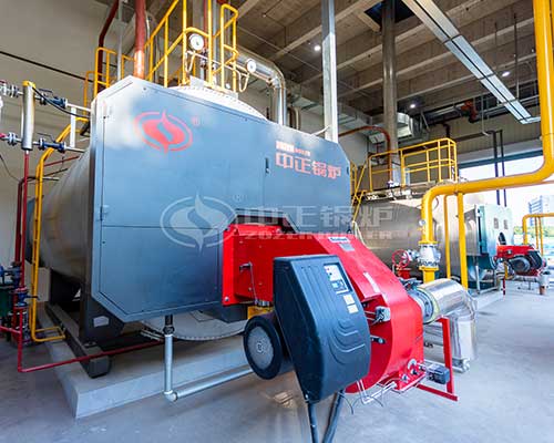 6 Tons Condensing Gas Steam Boiler for Building Materials Industry
