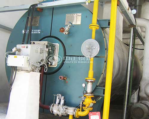 Gas Fuel Thermal Oil Boiler