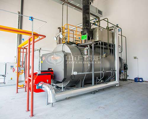 4tph WNS Gas Steam Boiler for Chemical Industry