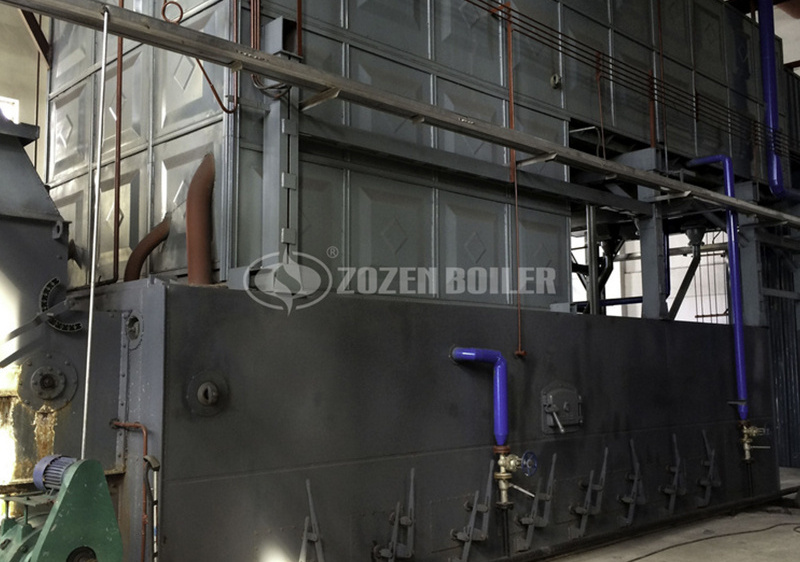 Coal-Fired Steam Boiler 