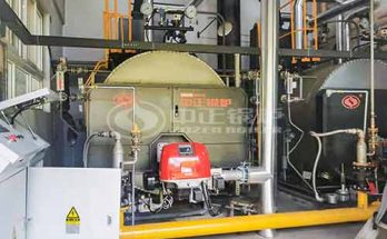 4 Ton Gas Steam Boiler Gas Consumption