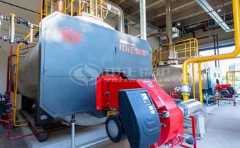 6 Tons Condensing Gas Steam Boiler