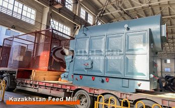 2 tph DZL Coal Steam Boiler For Feed Mill Industry