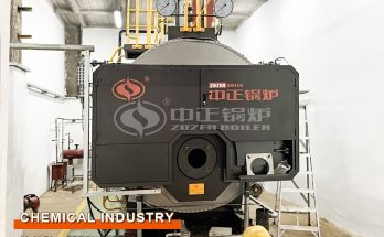 2 tph WNS Light Diesel Steam Boiler For Singapore Chemical Industry