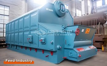 6 Tons Coal Steam Boiler for Feed Plant in Indonesia