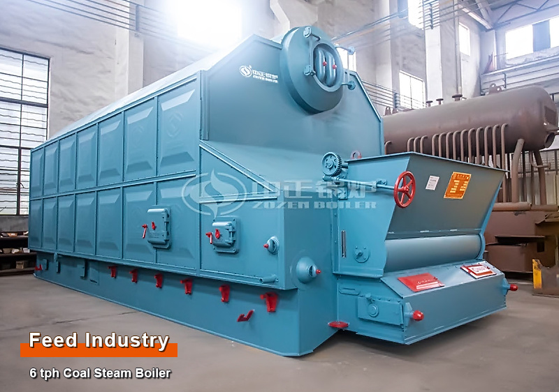 6 Tons Coal Steam Boiler for Feed Plant in Indonesia