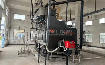 4 tph WNS Gas&Oil Dual-Use Steam Boiler For Chemical Industry